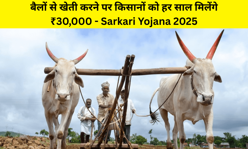 Agriculture Yojana: बैलों से खेती करने पर किसानों को हर साल मिलेंगे ₹30,000