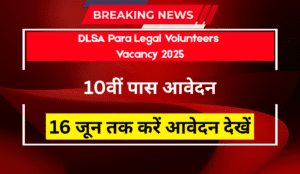 DLSA Para Legal Volunteers Vacancy 2025 – 10वीं पास करें आवेदन, जानें पूरी जानकारी